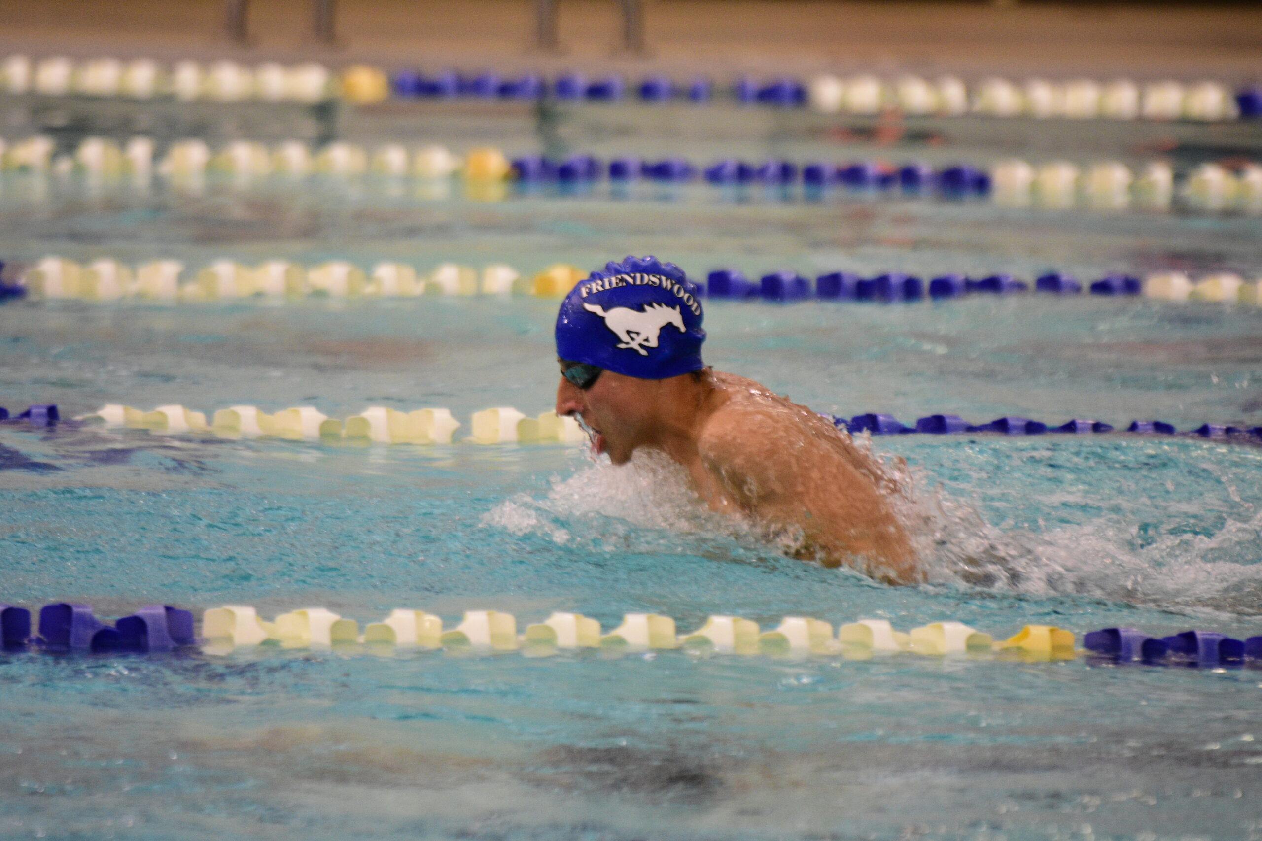 Friendswood Dominates Swim Meet The Post Newspaper